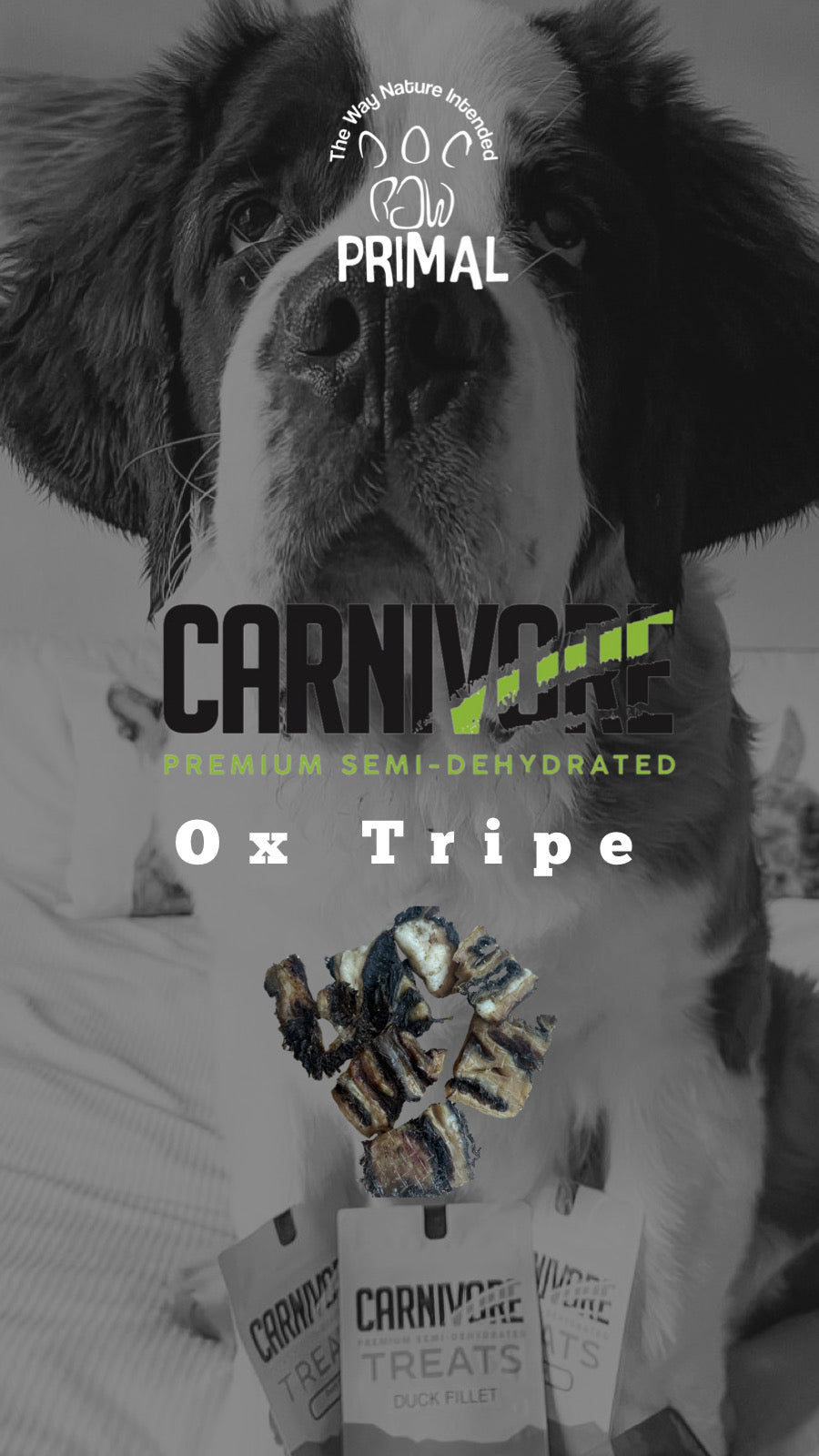 Ox Tripe Treat 60g