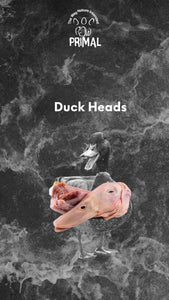 Duck Heads 2pk