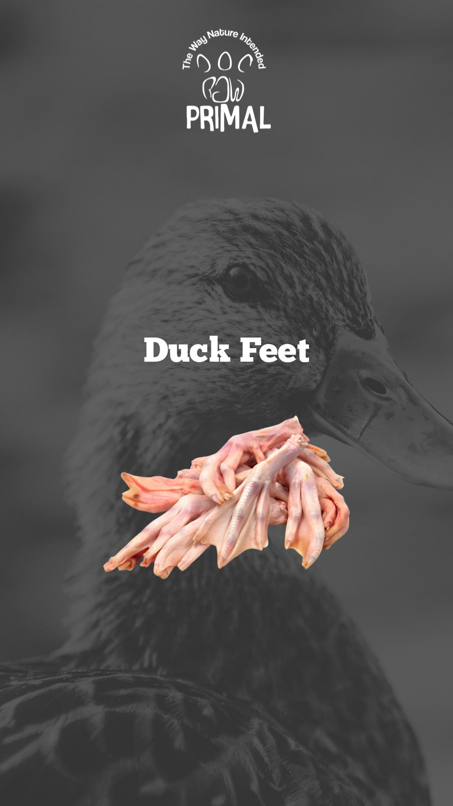 Duck Feet p 500g