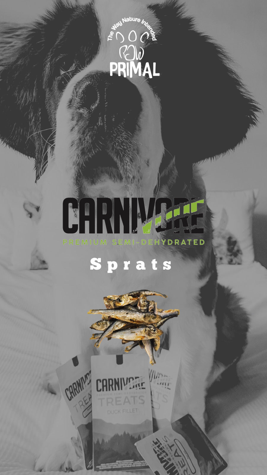 Sprats treat 60g