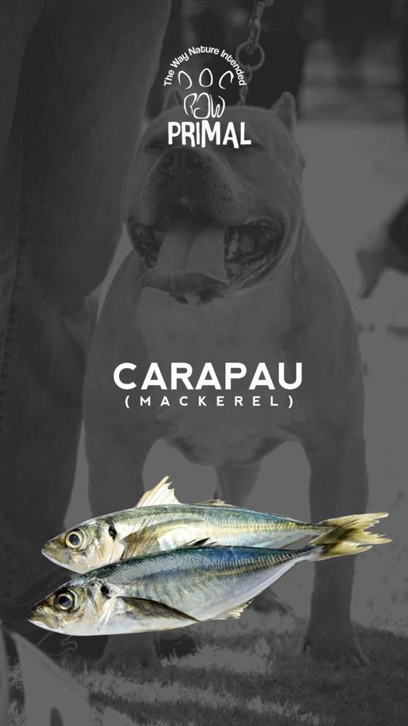 Carapau